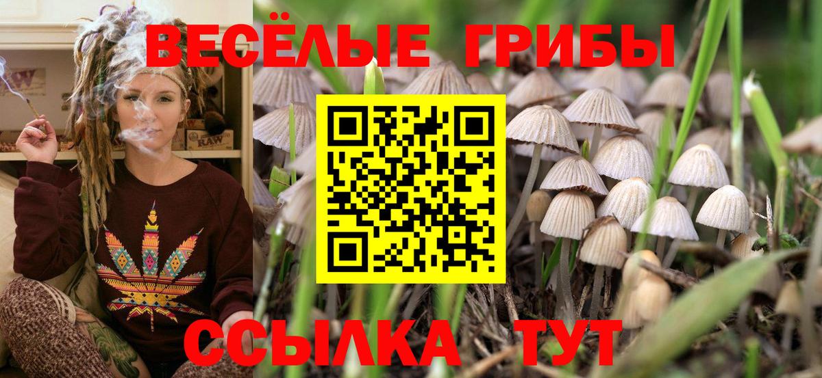 Галлюциногенные грибы ЛСД  Псилоцибиновые грибы Psilocybe  Вход с VPN  Знаменск 