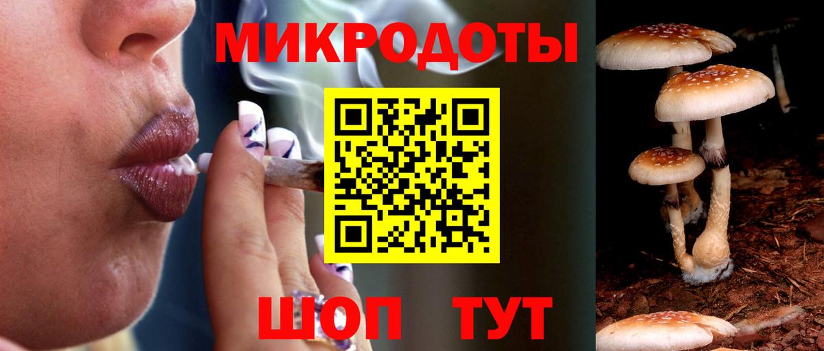 Галлюциногенные грибы MAGIC MUSHROOMS Знаменск